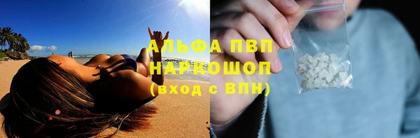 тгк Всеволожск