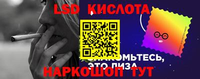 стафф Бийск