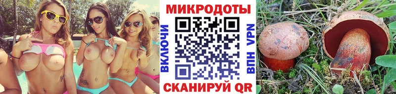 Галлюциногенные грибы Cubensis как найти закладки Фролово