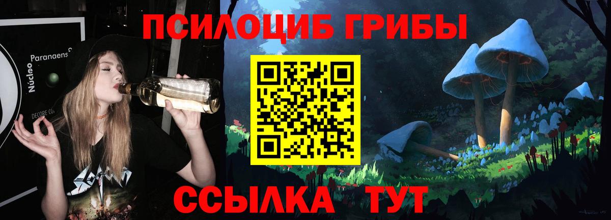 Галлюциногенные грибы Psilocybine cubensis Фролово