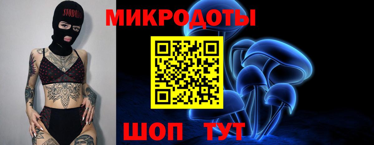 Фролово  Галлюциногенные грибы прущие грибы  Вход с VPN  Псилоцибиновые грибы GOLDEN TEACHER 